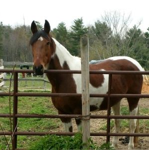 Meet your Posher, Michelle